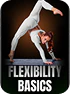Flexibility Basics